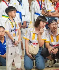 เสื้อพิมพ์ลายเทควันโด